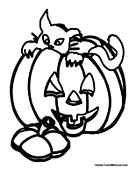 Cat Inside a Pumpkin