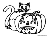 Cat Next to Holiday Pumpkin
