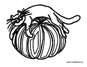Cat Resting on Pumpkin