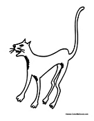 Skinny Black Cat