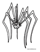 Spider Coloring Page 2