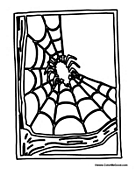 Spider in the Web