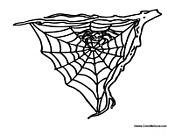 Spider's Web