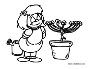 Menorah Flower Plant