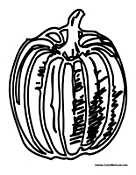 Tall Pumpkin for Thanksgiving