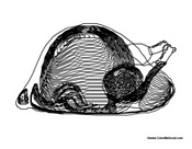 Thanksgiving Day Turkey