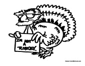 I'm Not a Turkey Costume