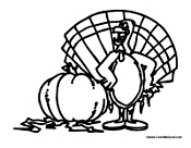 Thanksgiving Turkey Pumpkin