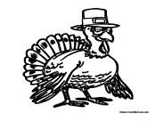 Thanksgiving Pilgrim Turkey