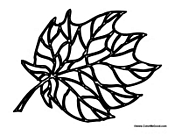 Fall Autumn Season Leaf 2