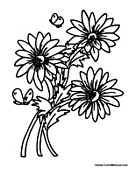 Spring Season Flowers