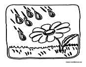 Spring Season Rain