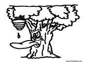 Tree with Honey Bee Nest