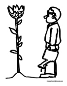 Adult Man Watering Flower