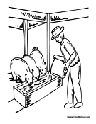 Farmer Feeding Pigs