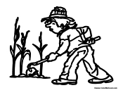 Farmer in the Corn Field