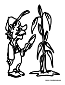 Farmer Checking His Corn