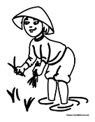 Asian Girl Picking Food