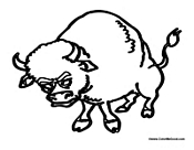 Buffalo Bison from the West