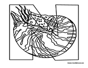 Funny Animal ABC's - Letter N