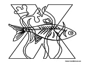 Funny Animal ABC's - Letter X