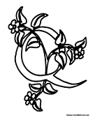 Flower Alphabet ABCs - Letter Q