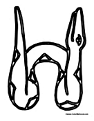 Snake Alphabet - Letter H